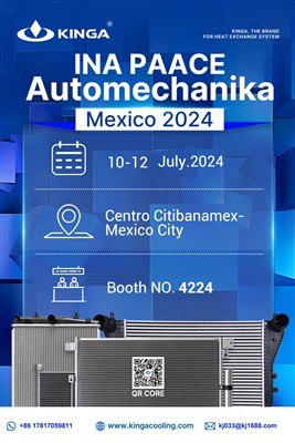 Exhibition- Mexico 2024 Ina PAACE Automechanik